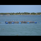 Immer wieder Lagunen